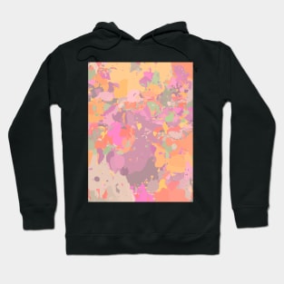 Multicolored Hoodie